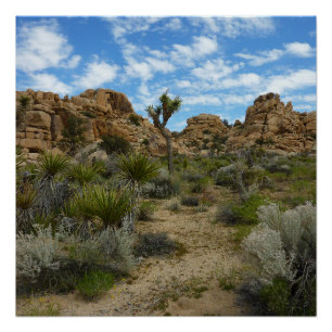Barker Dam Loop Trail at Joshua Tree National Park Poster