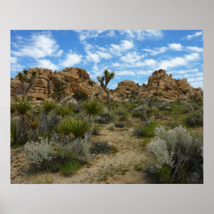 Barker Dam Loop Trail at Joshua Tree National Park Poster