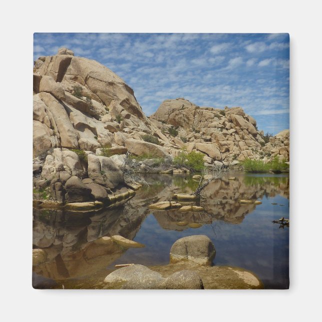 Barker Dam Reflection at Joshua Tree I Magnet (Front)