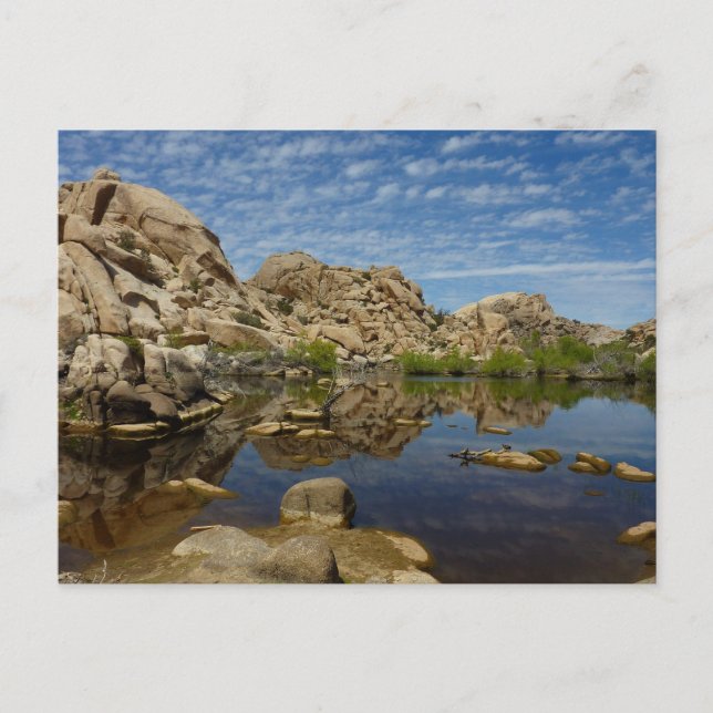 Barker Dam Reflection at Joshua Tree I Postcard (Front)
