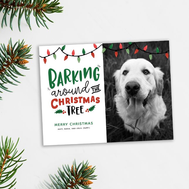 Barking Around The Christmas Tree Dog Christmas Holiday Postcard (Cute pet Christmas card. Barking around the Christmas tree photo holiday card shown with pine accent)
