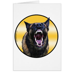 Barking Belgian Malinois "Maligator"