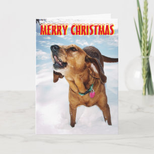 Barking dog in the snow Christmas Card