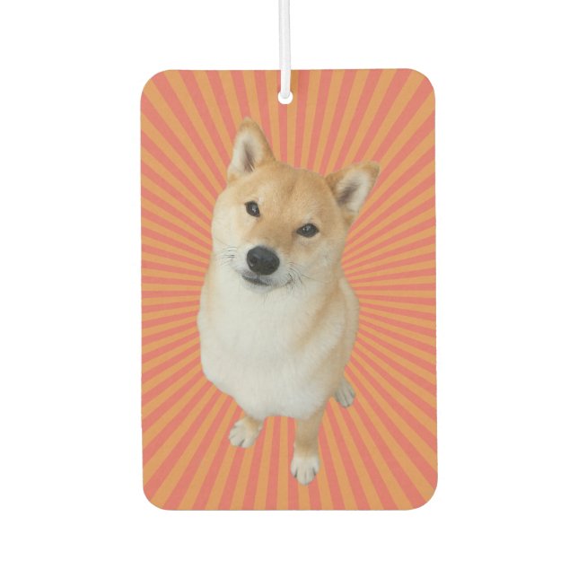 Barkley Brand Rectangle Air Freshener (Front)