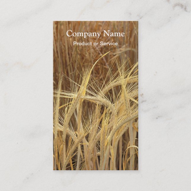 Barley business card (Front)