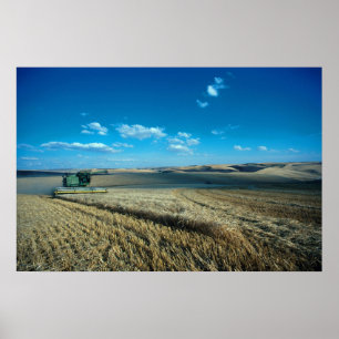 Barley harvest poster