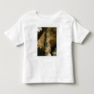 Barley sugar column from the Baldacchino Toddler T-Shirt