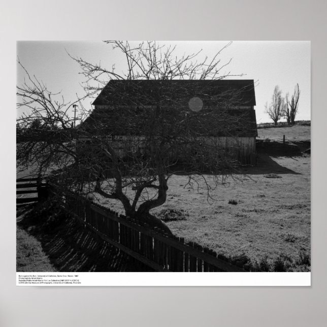 Barn, against Sun (flare spot), March 1962 Poster (Front)
