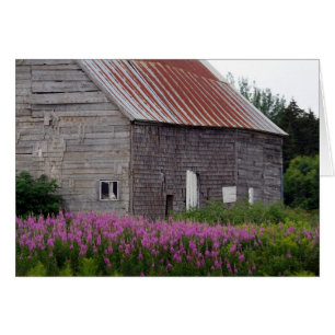 Barn and Flowers