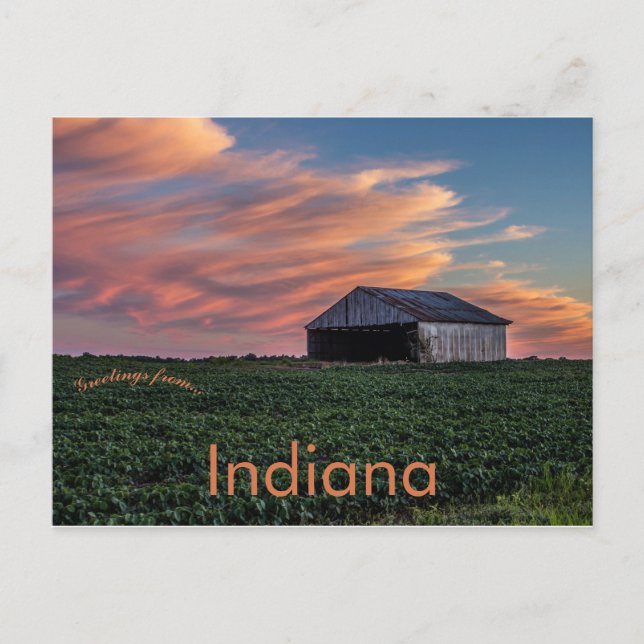 Barn and Soybeans in Indiana at Sunset Postcard (Front)