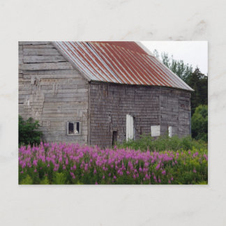 Barn and Wildflowers Postcard