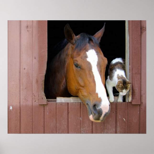 Barn Buddies Poster (Front)