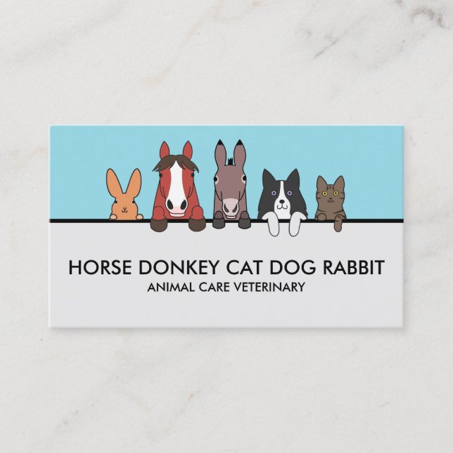 Barn Care Service Business Card (Front)