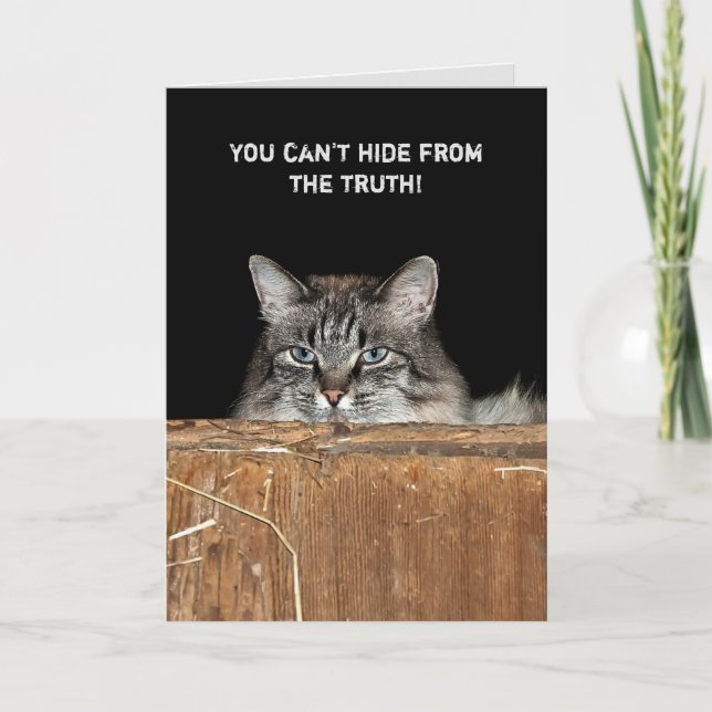 Barn Cat in hay loft birthday Card (Front)