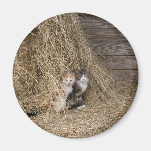 Barn Cat Magnet
