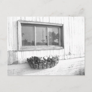 Barn Door Window/Black and White Photography Postcard