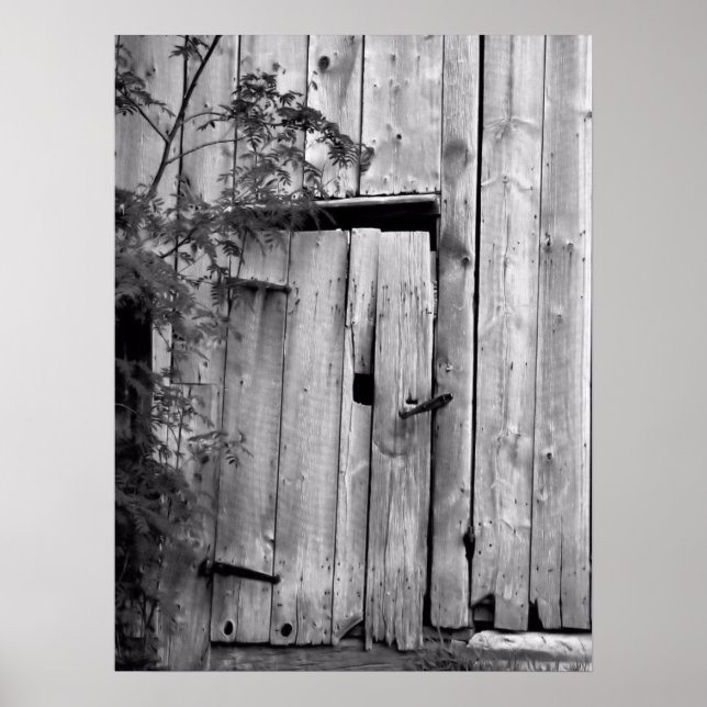 Barn Door With Tree Poster (Front)