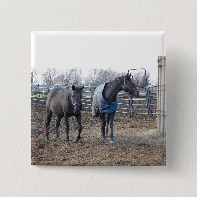 Barn Farm Horses 15 Cm Square Badge (Front)