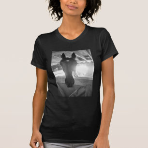 Barn Horse.Black and White Photography T-Shirt