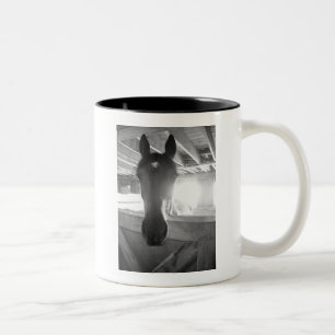 Barn Horse/Black and White Photography Two-Tone Coffee Mug