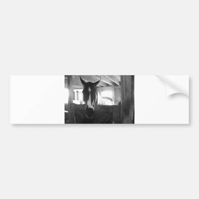 Barn Horse Bumper Sticker (Front)