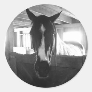 Barn Horse Classic Round Sticker