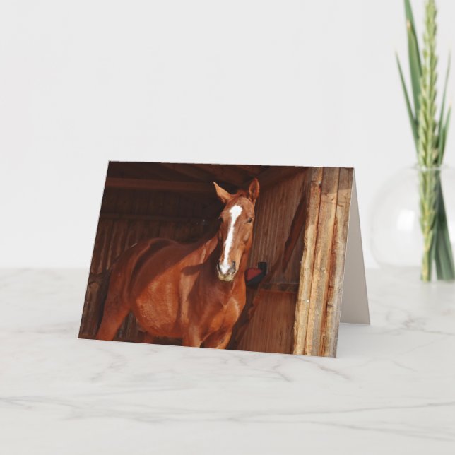 barn horse greeting card (Front)