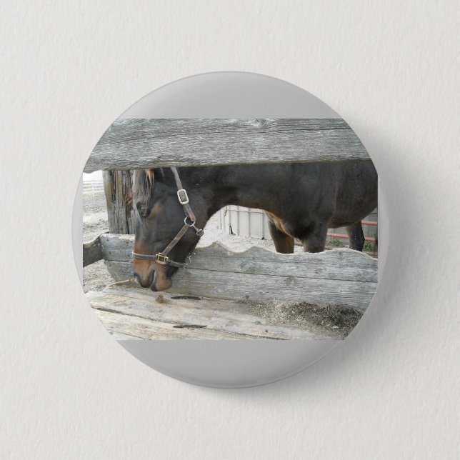 Barn Horse Humour 6 Cm Round Badge (Front)