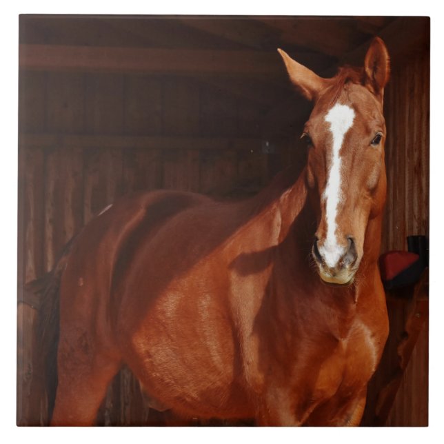 barn horse tile (Front)