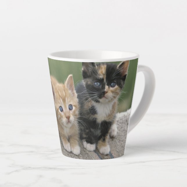 Barn Kittens on a Horse Blanket Latte Mug (Right Angle)