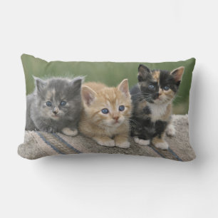 Barn Kittens on a Horse Blanket Lumbar Cushion