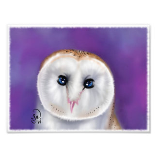 barn ow photo print