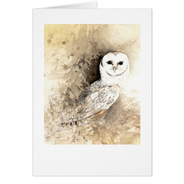 Barn Owl (Front)