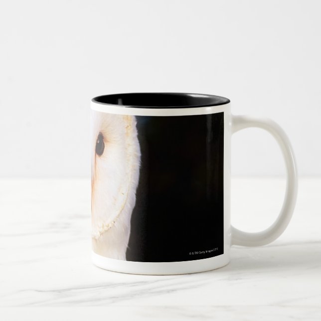 Barn Owl 2 Two-Tone Coffee Mug (Right)