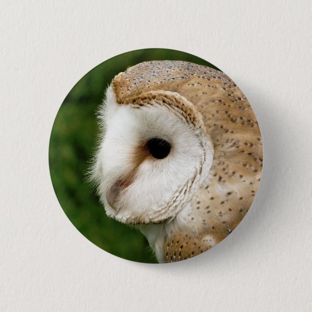 BARN OWL 6 CM ROUND BADGE (Front)