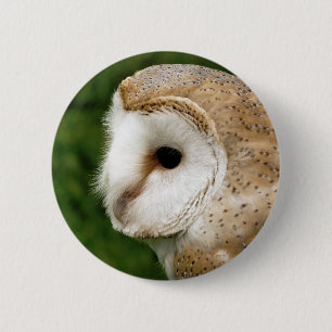 BARN OWL 6 CM ROUND BADGE