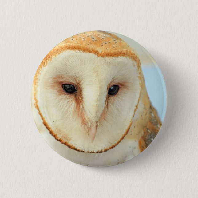 Barn owl 6 cm round badge (Front)