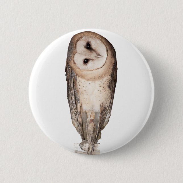 Barn owl 6 cm round badge (Front)