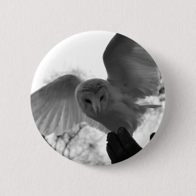 Barn Owl 6 Cm Round Badge (Front)