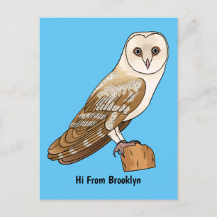 Barn owl bird cartoon illustration postcard