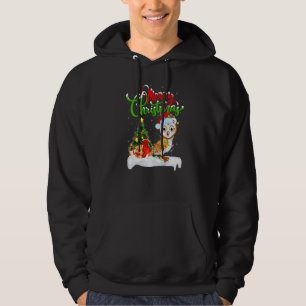 Barn Owl Bird Lover Xmas Decoration Santa Barn Owl Hoodie