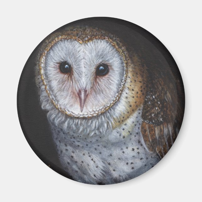 Barn Owl Bird Original Painting Art Magnet (Front)