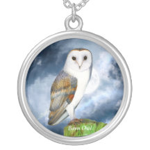 Barn Owl Bird Watercolor Painting