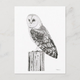 Barn Owl - Blank Postcard