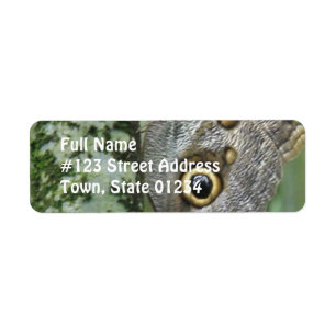 Barn Owl Butterfly Mailing Label Return Address Label