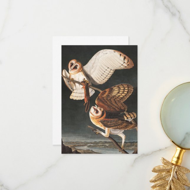 Barn Owl by John James Audubon Thank You Card (Front/Back In Situ)