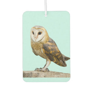 Barn Owl Car Air Freshener