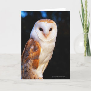 Barn Owl Card