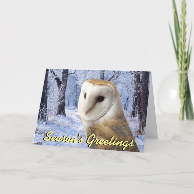 Barn owl Christmas card (Front)