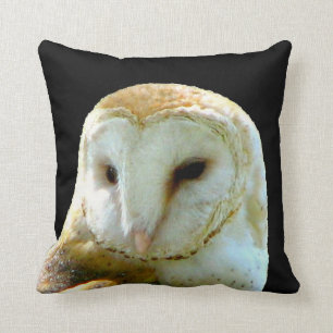 Barn Owl Close Up Cushion